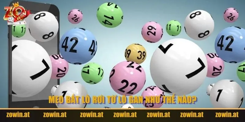 Mẹo bắt lô rơi từ lô gan như thế nào?