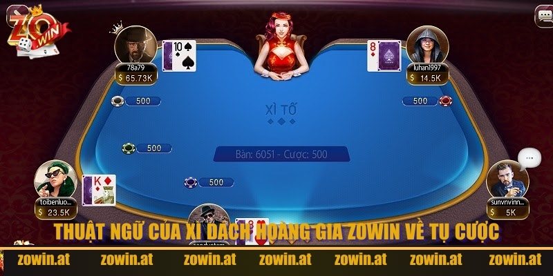 Thuật ngữ cơ bản về tụ cược cho người tham gia