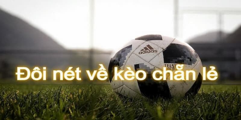 Hướng dẫn cách chơi kèo chẵn lẻ