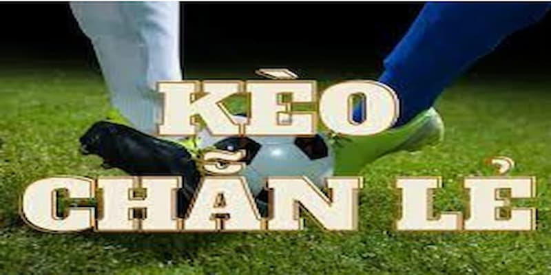 Kèo chẵn lẻ là gì?